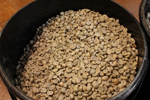 画像3: コロンビア　ウィラ　チロソ (3)